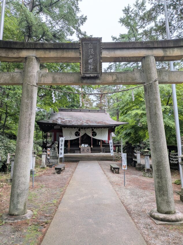 朝の散歩で参拝した白根神社